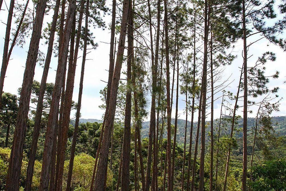 Pousada Campos Verde Campos do Jordao Exterior photo
